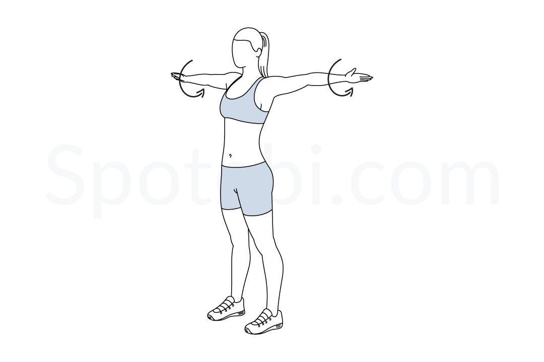 Arm Circles  Illustrated Exercise Guide