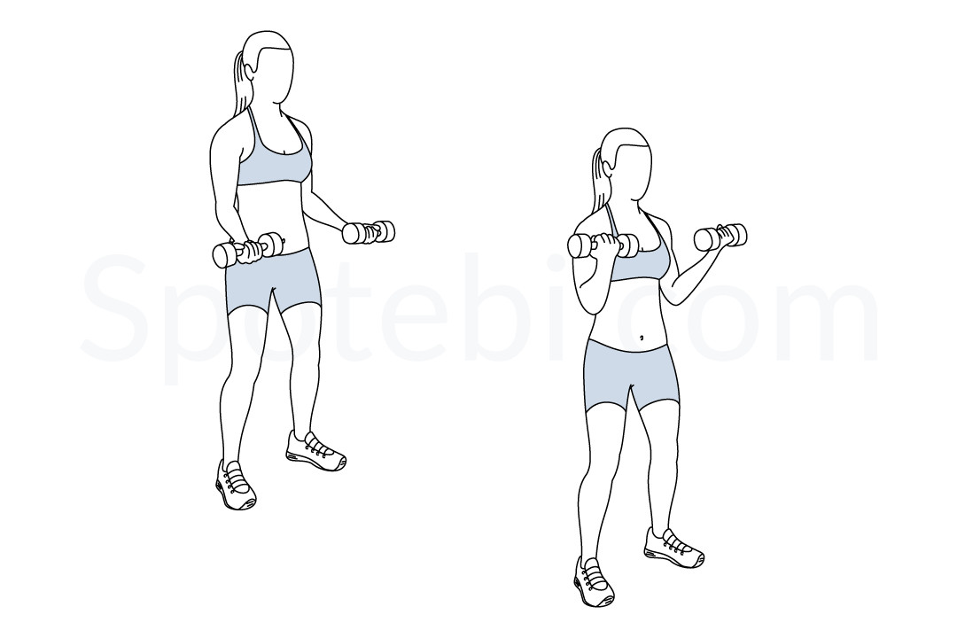 Bicep Curls | Illustrated Exercise Guide