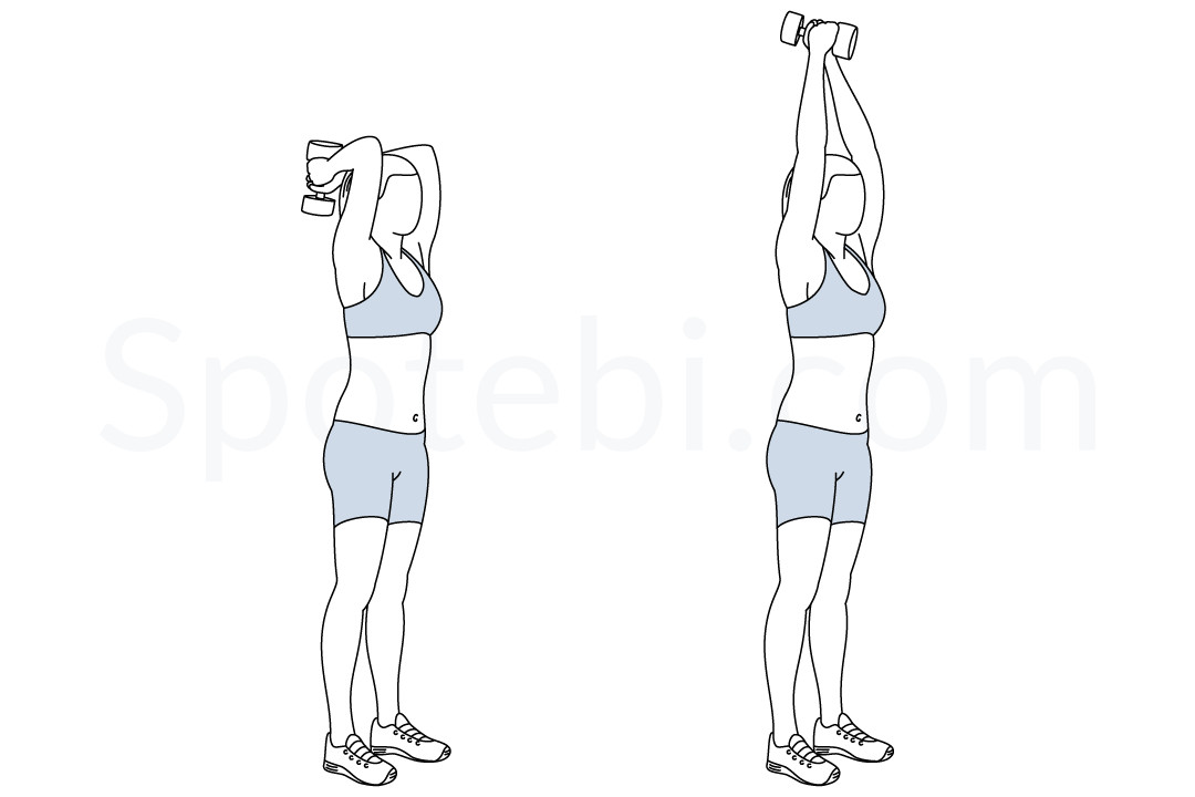 Dumbbell Triceps Extension  Illustrated Exercise Guide