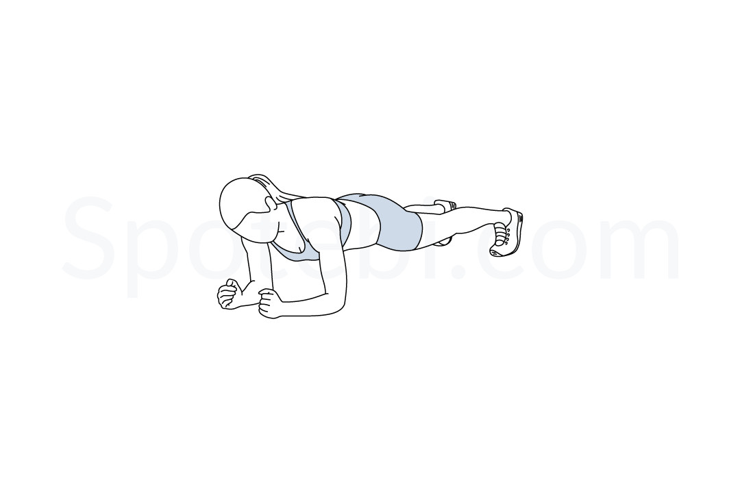 Gelijk Tijdens ~ schommel Plank | Illustrated Exercise Guide