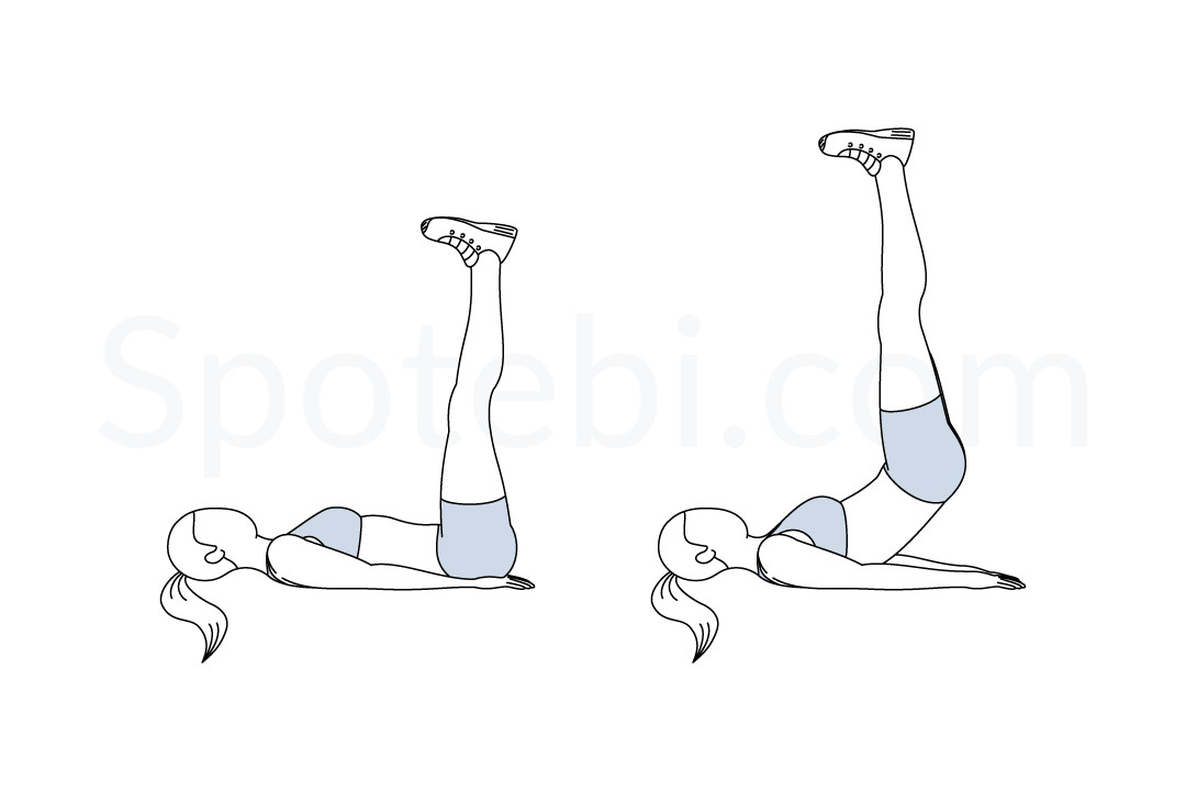 Pulse Ups Illustrated Exercise Guide