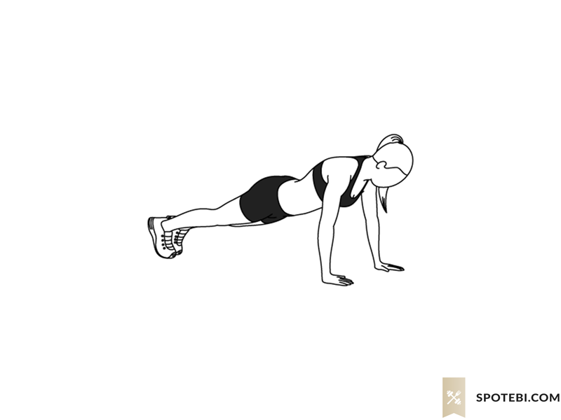 Push Up | Illustrated Exercise Guide
