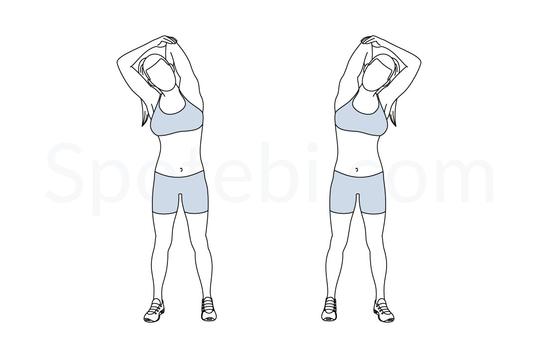 Triceps Stretch  Illustrated Exercise Guide