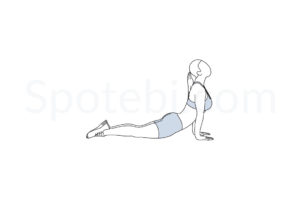 Tuck Jumps – WorkoutLabs Exercise Guide