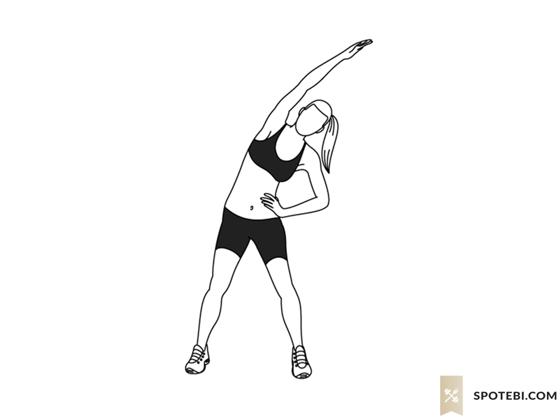 Obliques stretch exercise guide with instructions, demonstration, calories burned and muscles worked. Learn proper form, discover all health benefits and choose a workout. https://www.spotebi.com/exercise-guide/obliques-stretch/