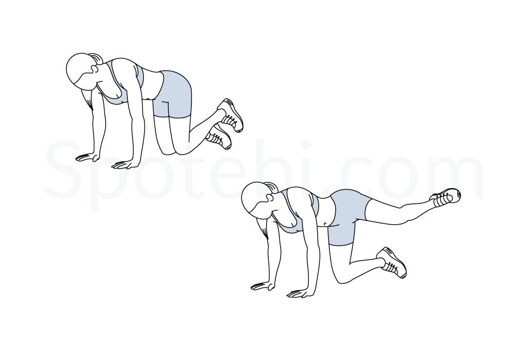 Hydrant Illustrated Exercise Guide