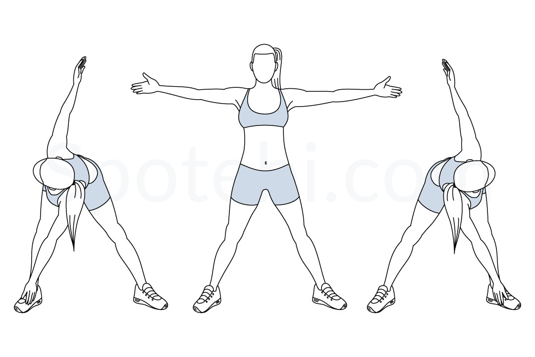 Bent Over Twist | Illustrated Exercise Guide