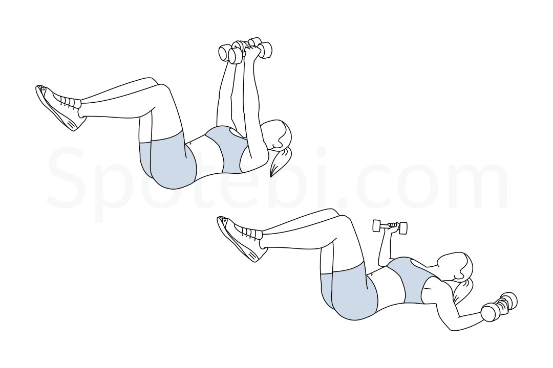 Chest Fly  Illustrated Exercise Guide