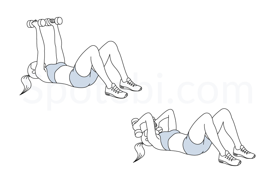 Lying Tricep Extension  Illustrated Exercise Guide