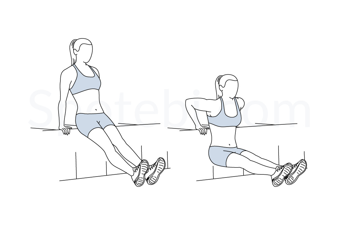 Tricep Dips  Illustrated Exercise Guide