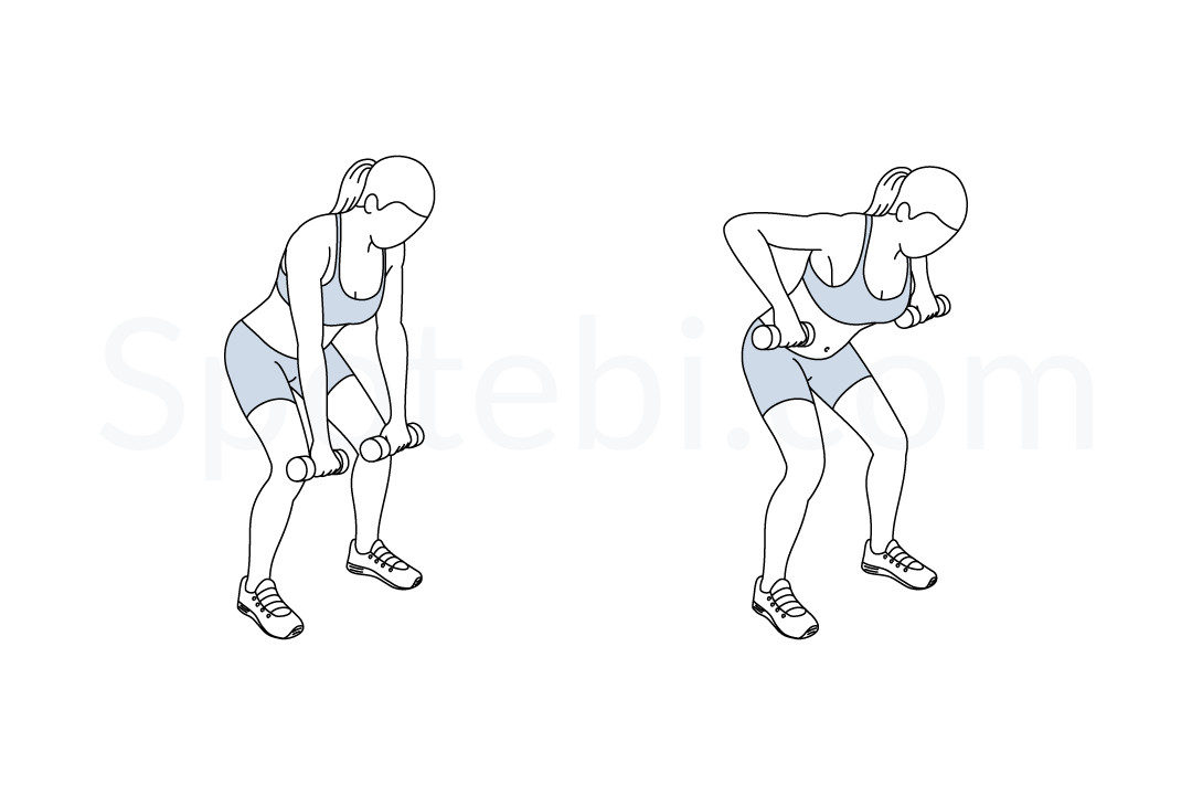 Wide Row  Illustrated Exercise Guide