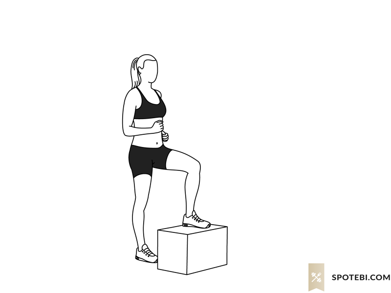 Knee raises 2025 exercise