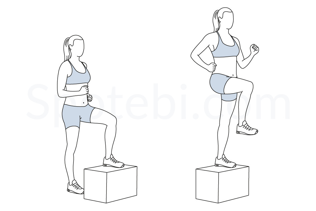 Step Up With Knee Raise | Illustrated Exercise Guide