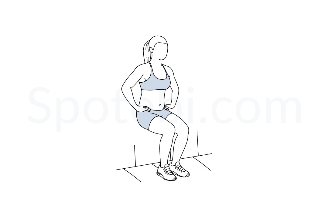 Wall Sit | Illustrated Exercise Guide