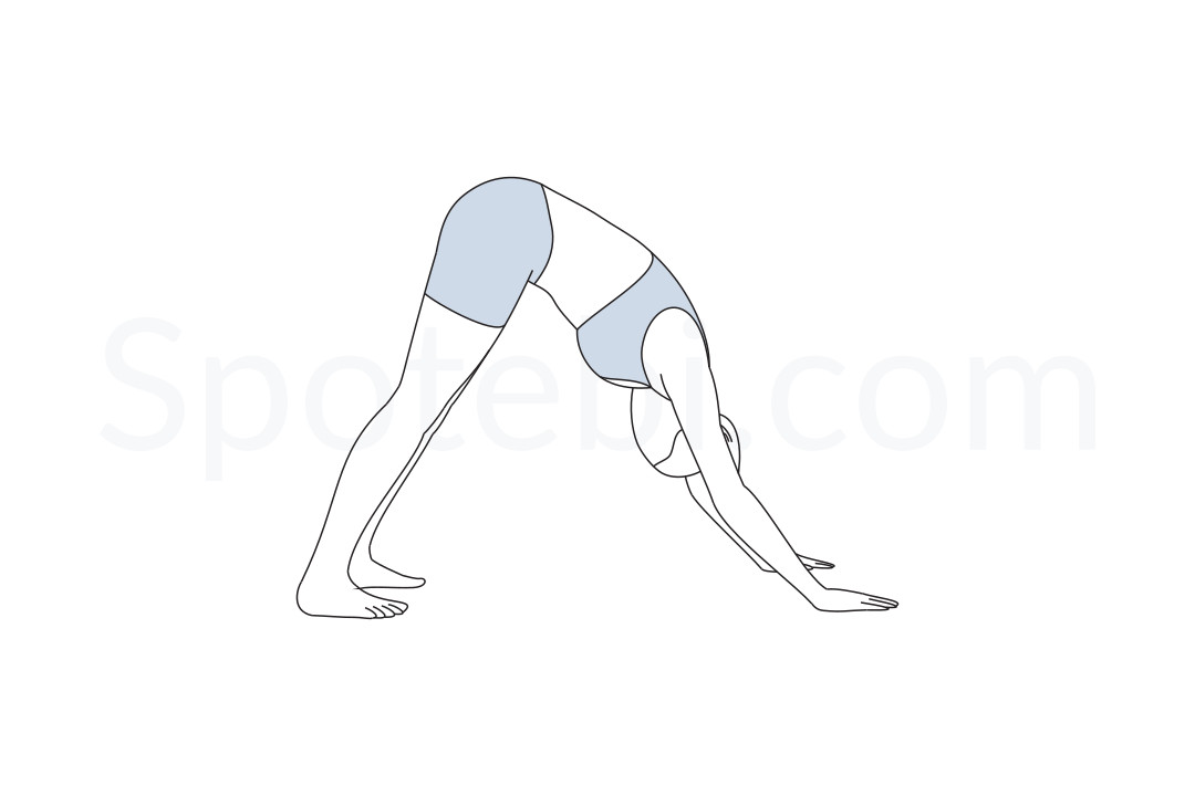 Downward Facing Dog Yoga Poses | Flow and Grow Kids Yoga