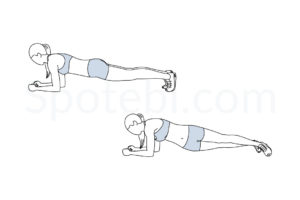 Plank hip dips exercise guide with instructions, demonstration, calories burned and muscles worked. Learn proper form, discover all health benefits and choose a workout. https://www.spotebi.com/exercise-guide/plank-hip-dips/