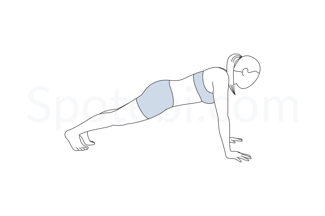 Normal Plank Pose