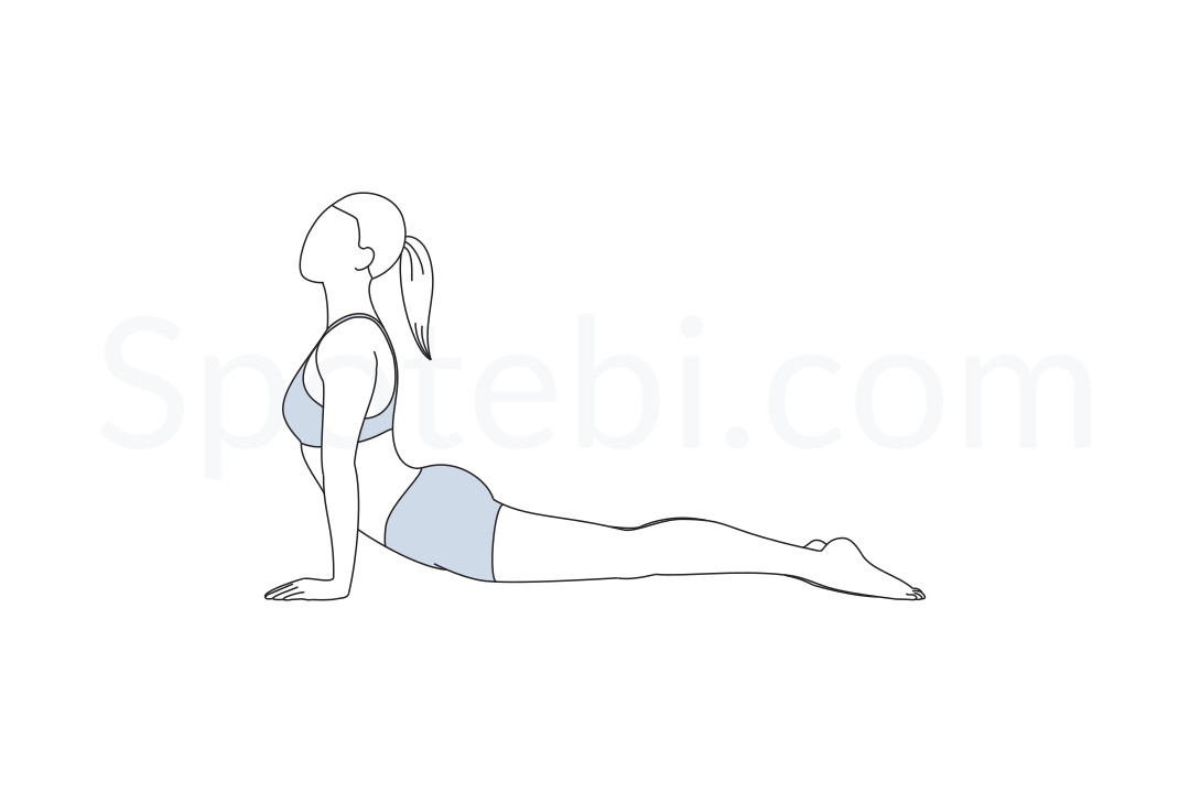 Upward facing dog pose Free Stock Photos, Images, and Pictures of Upward  facing dog pose