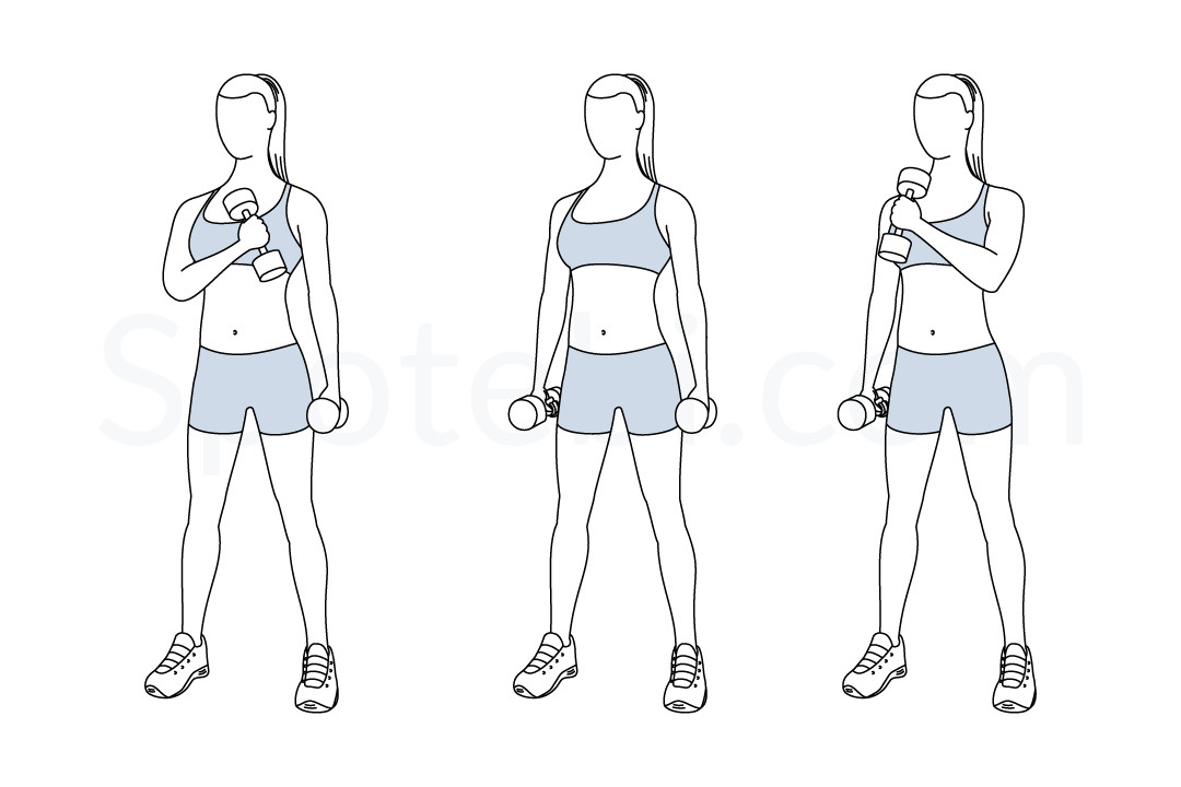 stående cross chest curl träningsguide med instruktioner, demonstration, förbrända kalorier och muskler arbetade. Lär dig rätt form, upptäck alla hälsofördelar och välj ett träningspass.