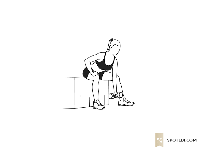 Concentration curl exercise guide with instructions, demonstration, calories burned and muscles worked. Learn proper form, discover all health benefits and choose a workout. https://www.spotebi.com/exercise-guide/concentration-curl/
