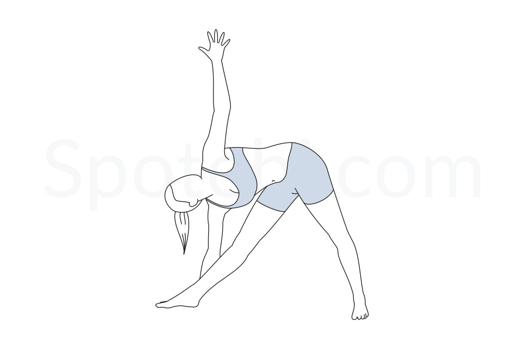 Triangle Pose (Utthita Trikonasana)