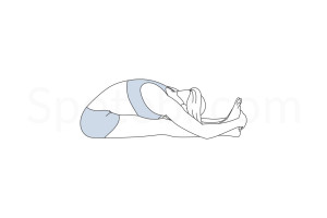 Seated forward bend pose (Paschimottanasana) instructions, illustration and mindfulness practice. Learn about preparatory, complementary and follow-up poses, and discover all health benefits. https://www.spotebi.com/exercise-guide/seated-forward-bend-pose/