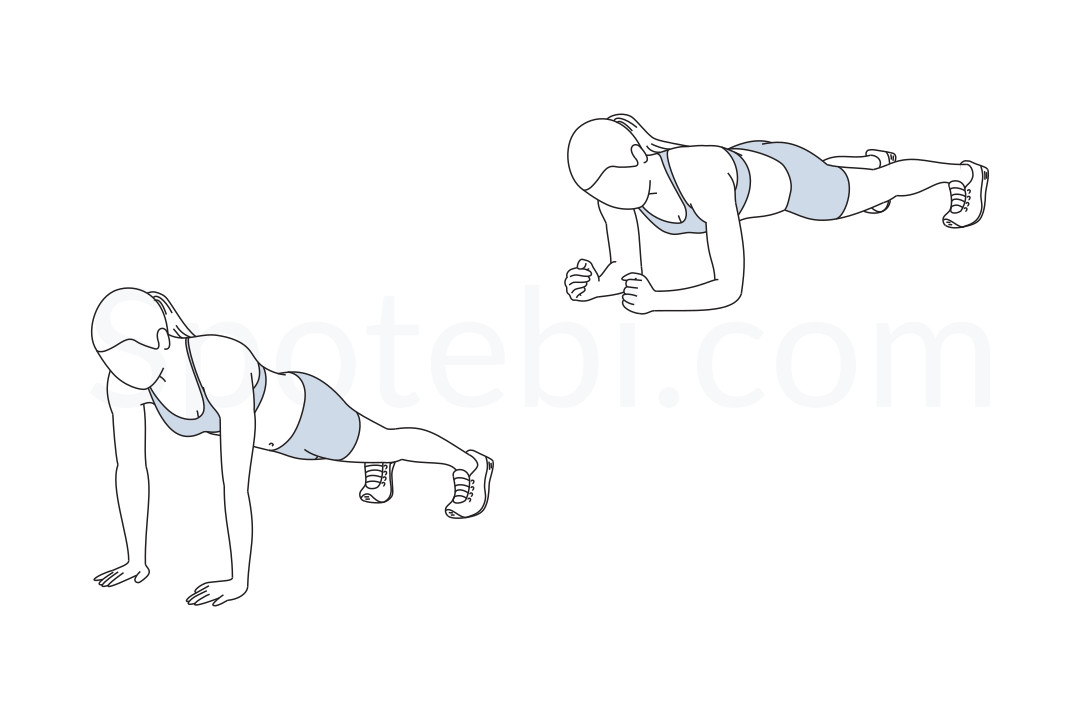 barricade Stier straf Up Down Plank | Illustrated Exercise Guide