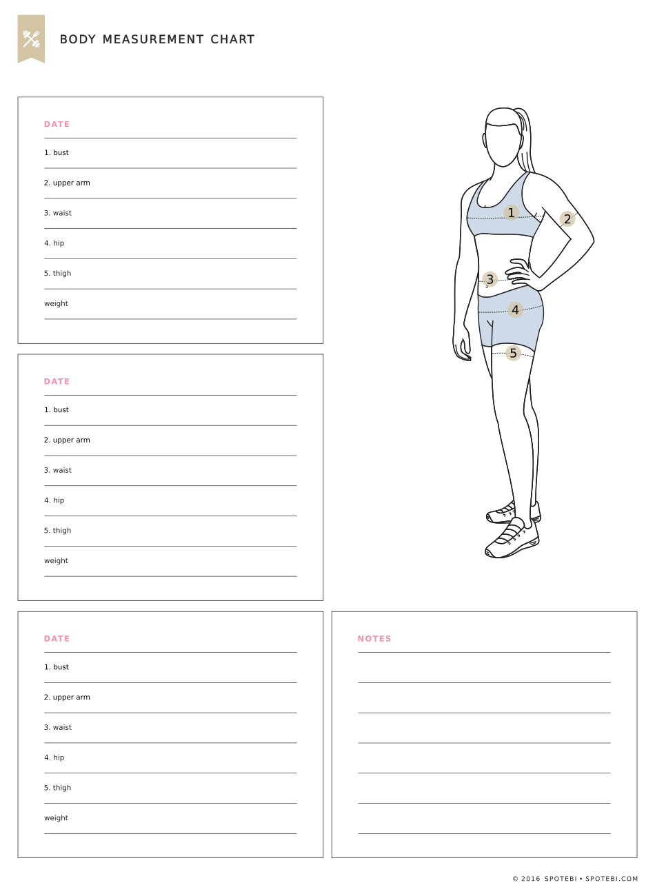 Blank Measurement Chart