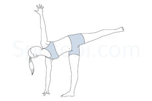 Half moon pose (Ardha Chandrasana) instructions, illustration, and mindfulness practice. Learn about preparatory, complementary and follow-up poses, and discover all health benefits. https://www.spotebi.com/exercise-guide/half-moon-pose/