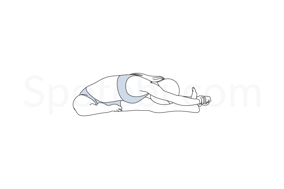 Standing Head To Knee Pose