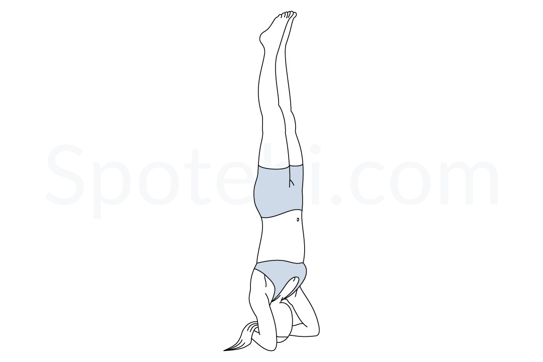 7 Yoga Poses To Prepare For Headstand - DoYou