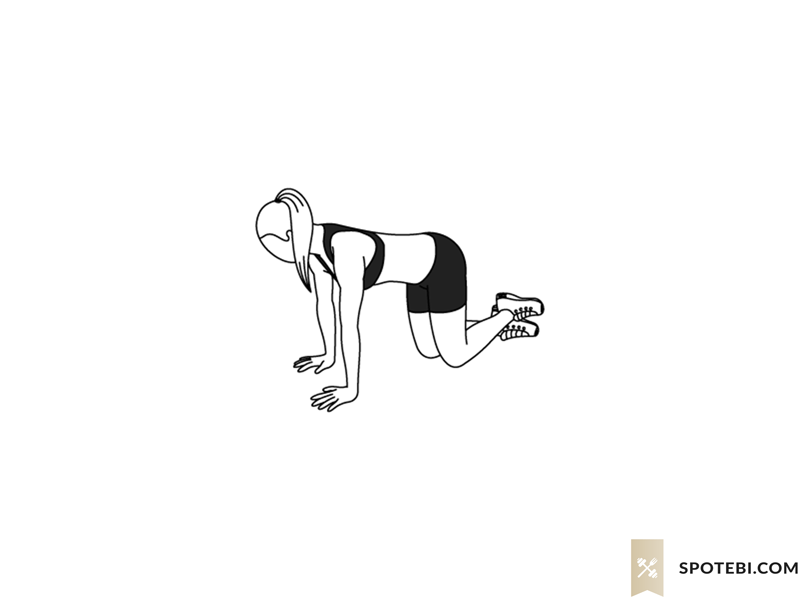 Kneeling roundhouse kick exercise guide with instructions, demonstration, calories burned and muscles worked. Learn proper form, discover all health benefits and choose a workout. https://www.spotebi.com/exercise-guide/kneeling-roundhouse-kick/