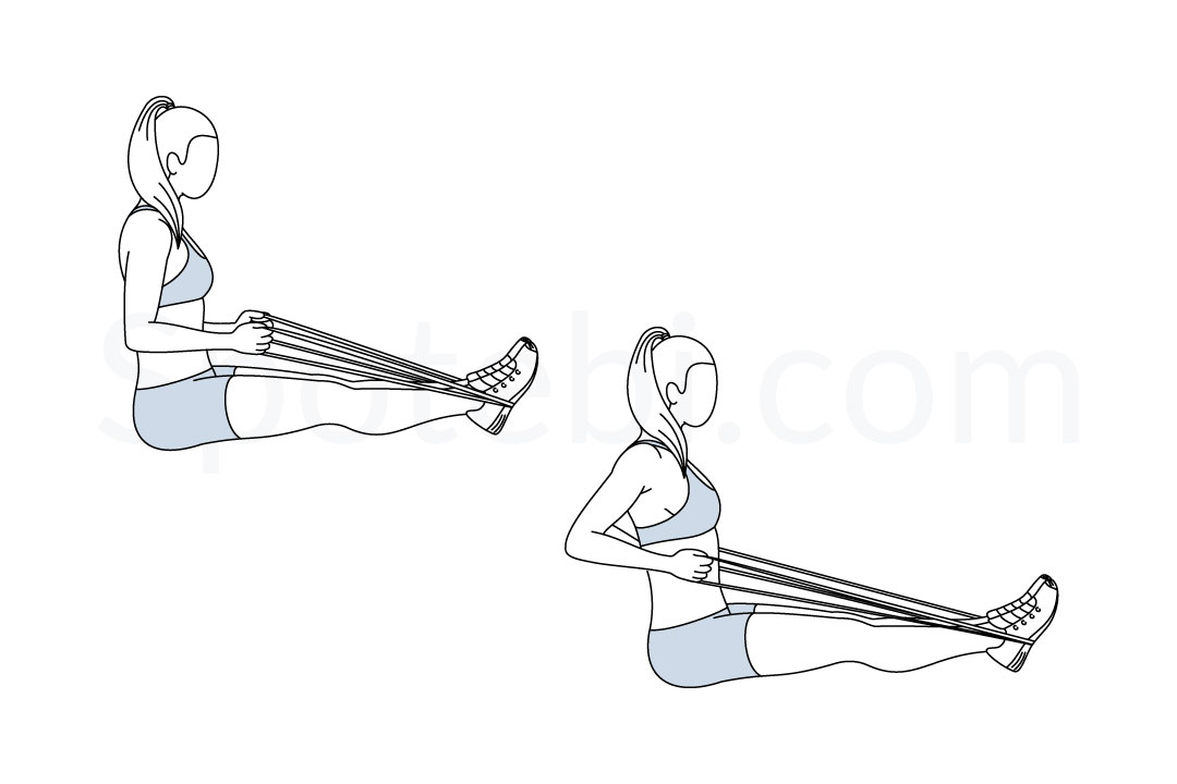 Band Seated Row  Illustrated Exercise Guide